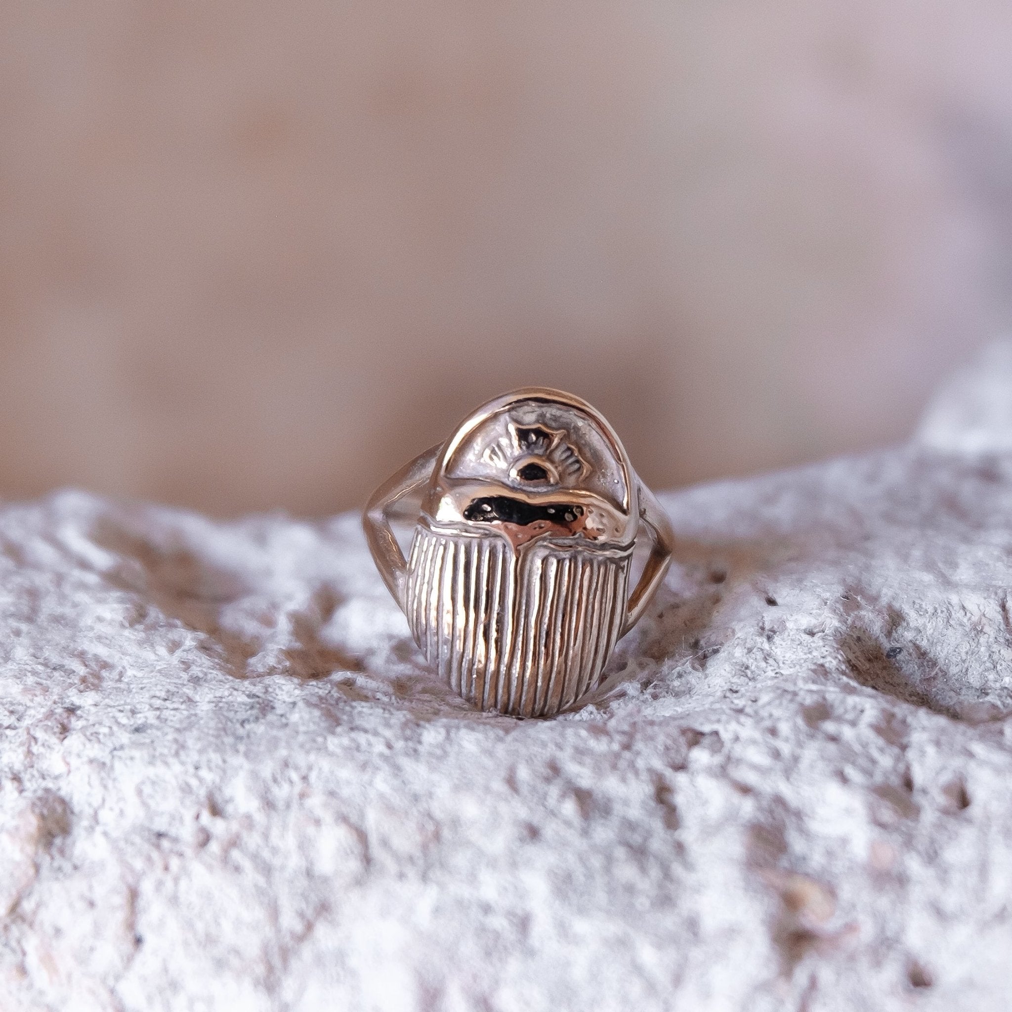 Scarab Ring, Unisex top Signet Ring, Animal Ring, 925 Sterling Silver, 24K Gold Plated Silver Ring, Nice Scarab Signet Ring, Handmade Ring